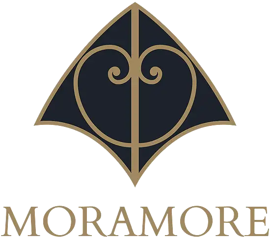 Mor Rotem VSL Logo